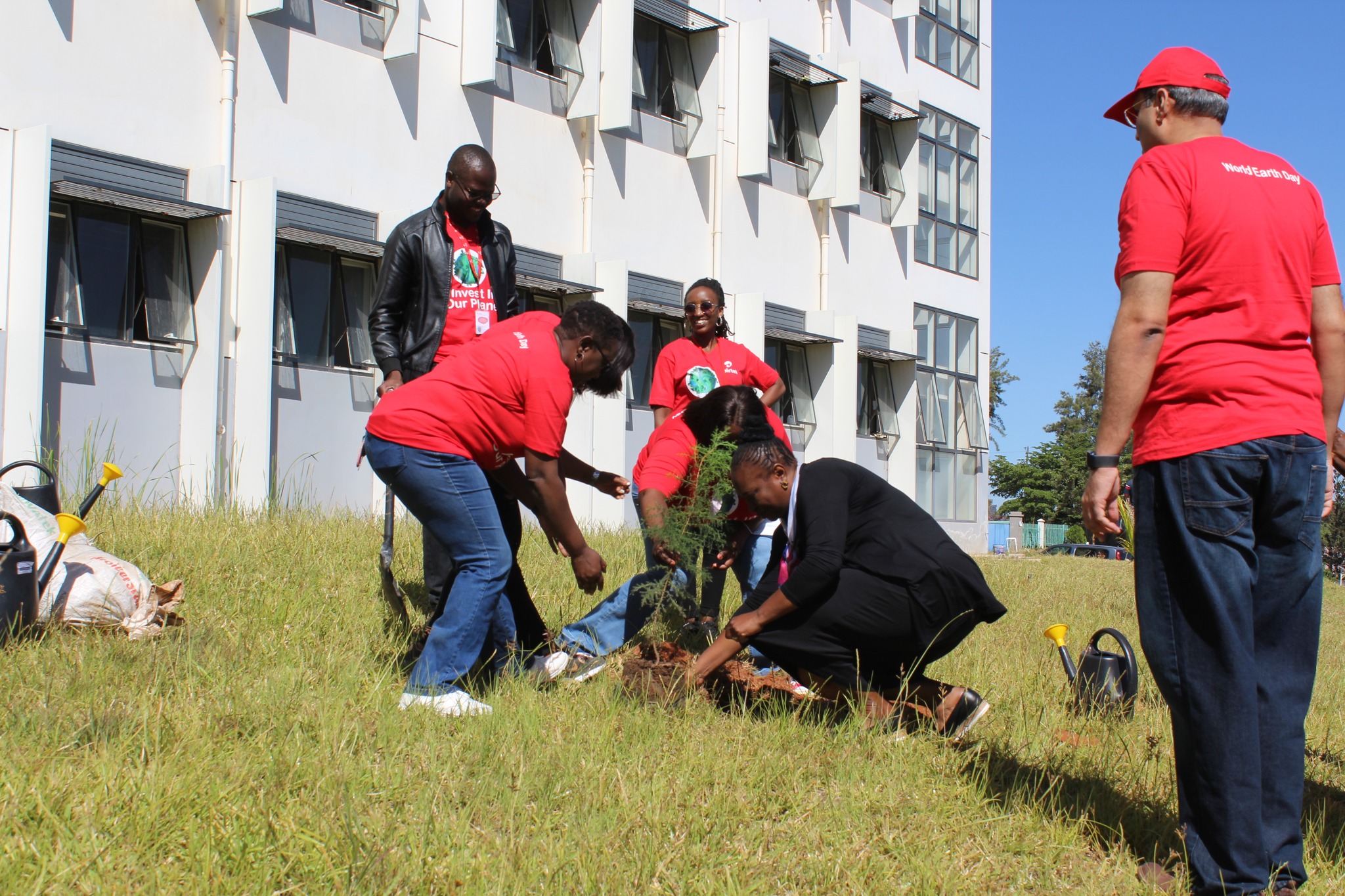 plant a tree airtel